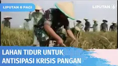 Kasad Jenderal TNI, Dudung Abdurachman, meminta satuan jajaran TNI AD menciptakan lahan kosong menjadi lahan produktif. Lahan tersebut nantinya bisa dimanfaatkan sebagai lahan pertanian untuk meningkatkan produksi pangan dan mengantisipasi jika sewak...