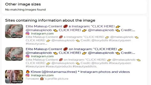 Gambar Tangkapan Layar Penelusuran Foto Menggunakan Situs Yandex.