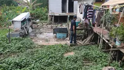 Aktivitas warga di Kampung Apung, Jakarta, Selasa (26/11/2019). Untuk mengurangi genangan air di Kampung Apung, Pemprov DKI berencana membuat saluran air pada 2020 mendatang, selain itu akan disediakan beberapa pompa mobile saat musim hujan tiba. (Liputan6.com/Herman Zakharia)