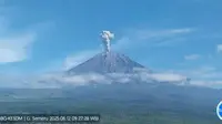 Gunung Semeru erupsi tinggi letusan capai 1 kilometer (Istimewa)