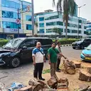 Detik-detik Pohon Tumbang Timpa Mobil di Kelapa Gading