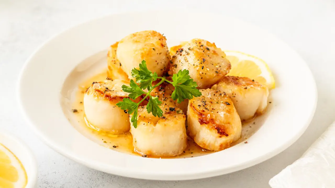 scallop kerang