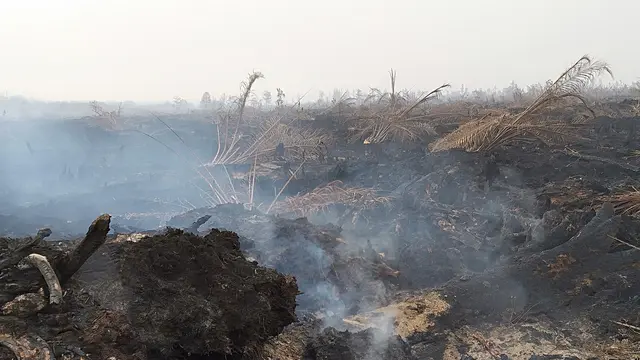 Karhutla Jambi