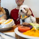 Restoran di Hong Kong Perbolehkan Pelanggan Bawa Anjing
