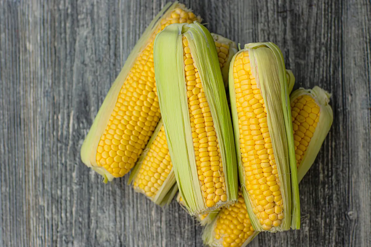 Ilustrasi Jagung