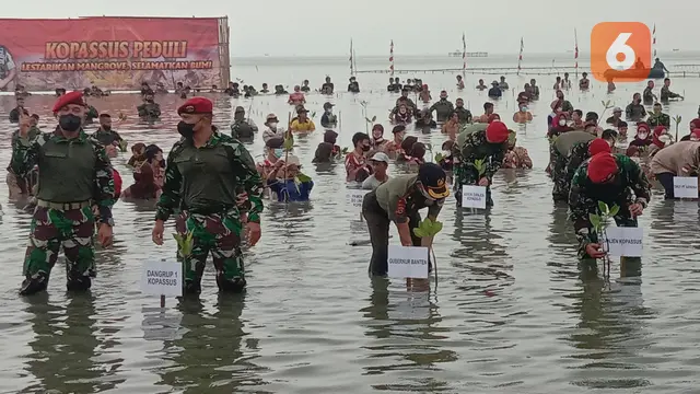 Danjen Kopassus Tanam Pohon Mangrove Di Pesisir Pantai Lontar, Kabupaten Serang, Banten. (Jumat,05/11/2021). (Liputan6.com/Yandhi Deslatama).