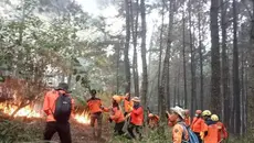Karhutla Gunung Lawu Belum Padam Total