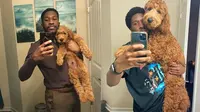 7 Potret Pertumbuhan Anjing Peliharaan Dulu Vs Kini, Bikin Gemas