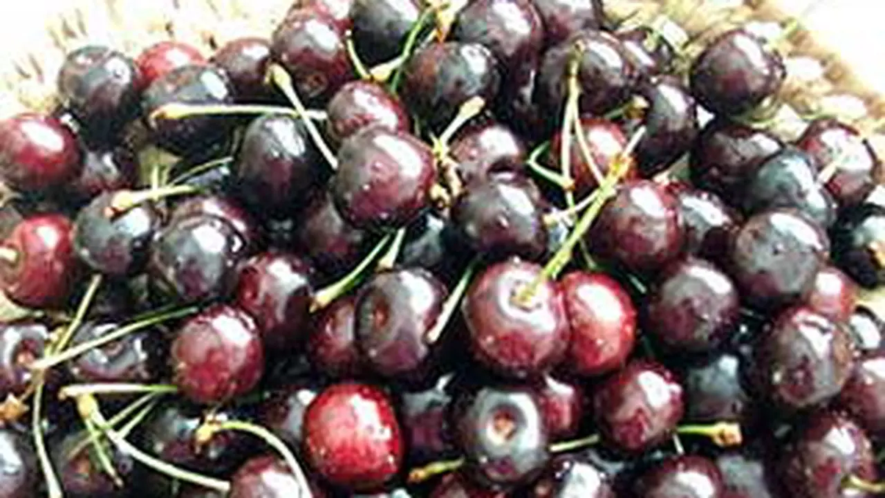 100527akes-buahkersen.jpg