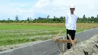 Presiden Jokowi meninjua irigasi di Desa Waimital, Kecamatan Kairatu, Kabupaten Seram Bagian Barat (14/2). Pembangunan irigasi di desa tersebut merupakan program dari Kementerian Pekerjaan Umum dan Perumahan Rakyat. (Liputan6.com/Pool/Biro Pers Setpres)