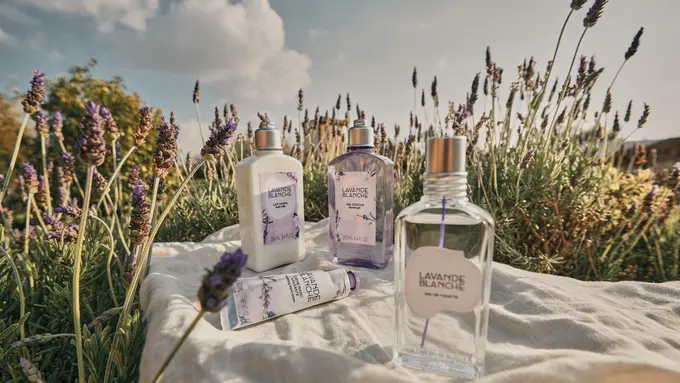 L'occitane telah meluncurkan produk perawatan tubuh terbaru yakni "White Lavender" dengan aroma white lavender yang mewah dan menenangkan.