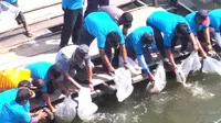 FAO dan KKP mengajak masyarakat menjaga habitat sungai Kampar melalui acara Bersih Sungai dan pelatihan budidaya pada Sabtu (27/7/2019) di Desa Pulau Terap, kecamatan Kuok, Kabupaten Kampar Riau. (Dok FAO Indonesia)