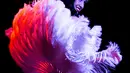 Penampilan Miss Rudy Ruby dalam Burlesque Show di Madrid, Spanyol, Jumat (25/1). Burlesque Show kerap kali menampilkan komedi dan striptease perempuan. (Benjamin CREMEL/AFP)