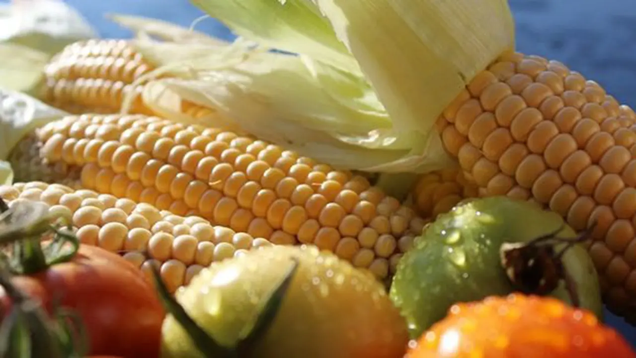 Sayuran yang tidak baik untuk diet/copyright Pexels.com