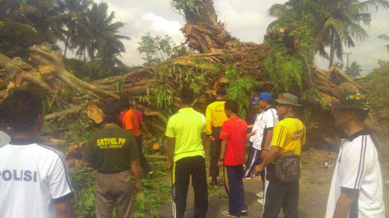 Evakuasi Panjang Pohon Beringin Angker yang Mendadak Tumbang