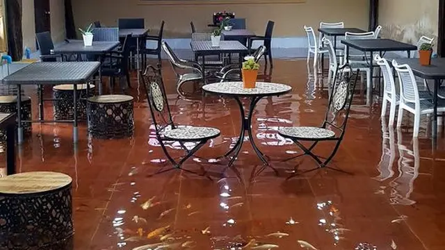 Unik Banget, Kafe Ini Tawarkan Sensasi Ngopi Bersama Puluhan Ikan Koi