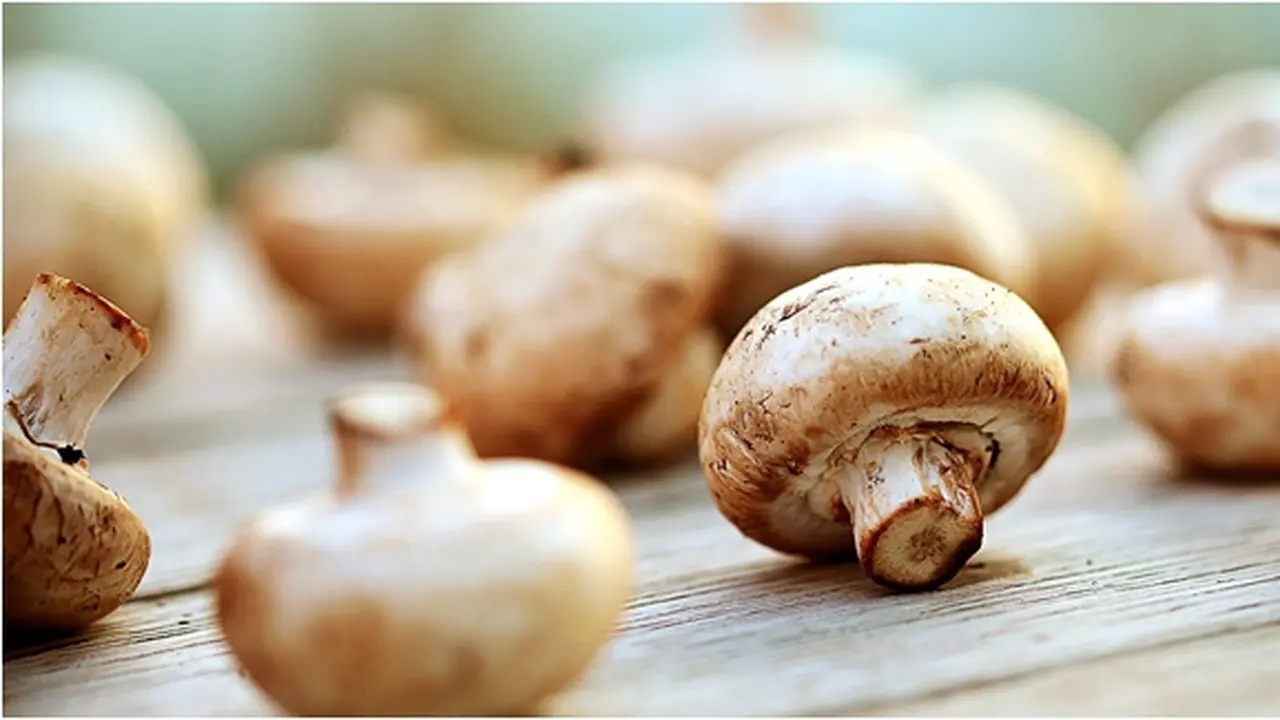 Foto: copyright Thinkstockphotos.com