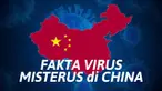 Penyakit pneumonia misterius mewabah di Wuhan, China. Pertama kali diinfokan ke WHO pada 31 Desember 2019.
