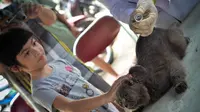 Pelaksanaan vaksin rabies akan dilaksanakan selama satu bulan penuh, sejak 26 Agustus-26 September mendatang, Jakarta, (3/9/14). (Liputan6.com/Faizal Fanani)
