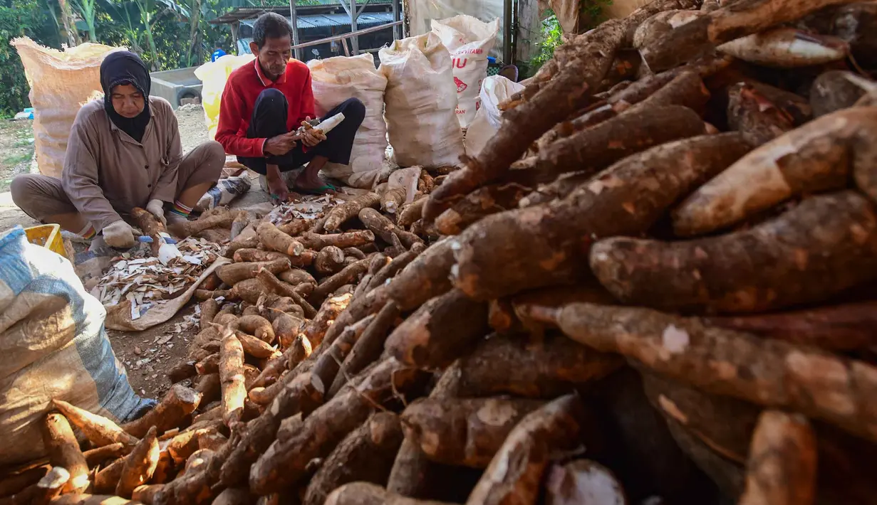 Pekerja mengolah singkong di sentra pengolahan bahan baku makanan ringan di Ciampea, Kabupaten Bogor, Jawa Barat, Minggu (26/7/2026).  (KLY/ Arie Basuki)
