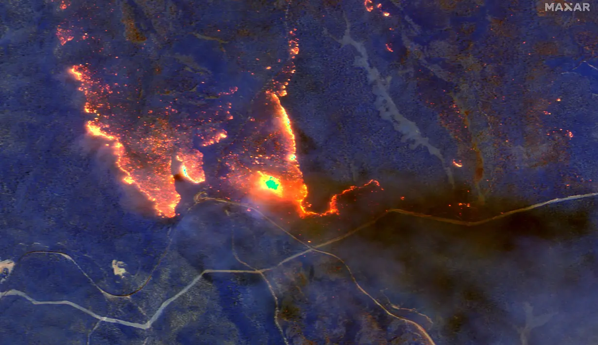 Citra satelit dengan gelombang pendek inframerah menunjukkan kebakaran hutan di sebelah timur Orbost, Australia pada Sabtu (4/1/2020). Langit berubah menjadi hitam dan abu turun saat api berkobar di seluruh Australia bagian tenggara. (HO / Satellite image ©2020 Maxar Technologies / AFP)