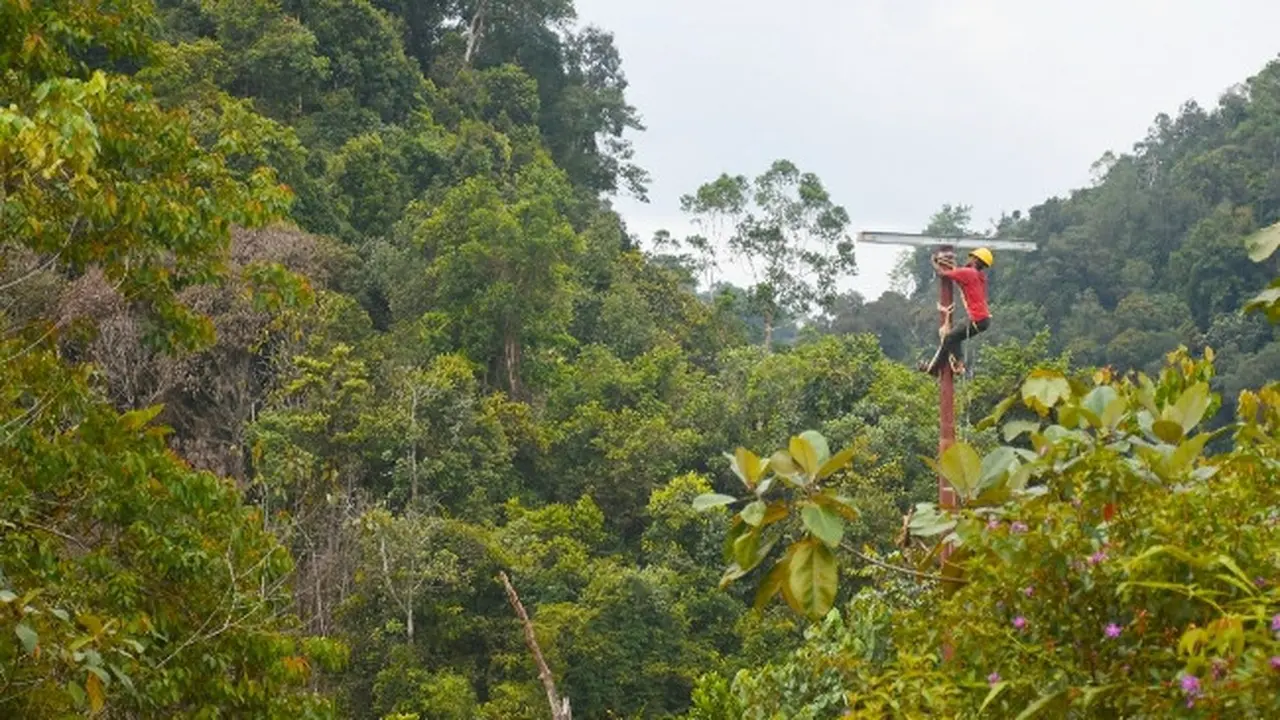 Pekerja PLN Riau memasang jaringan listrik untuk desa terpencil di Provinsi Riau.