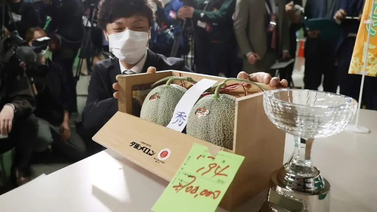 Sepasang melon Jepang terjual di Jepang dengan harga Rp 356 juta. (Photo credit: STR JIJI PRESS/AFP)