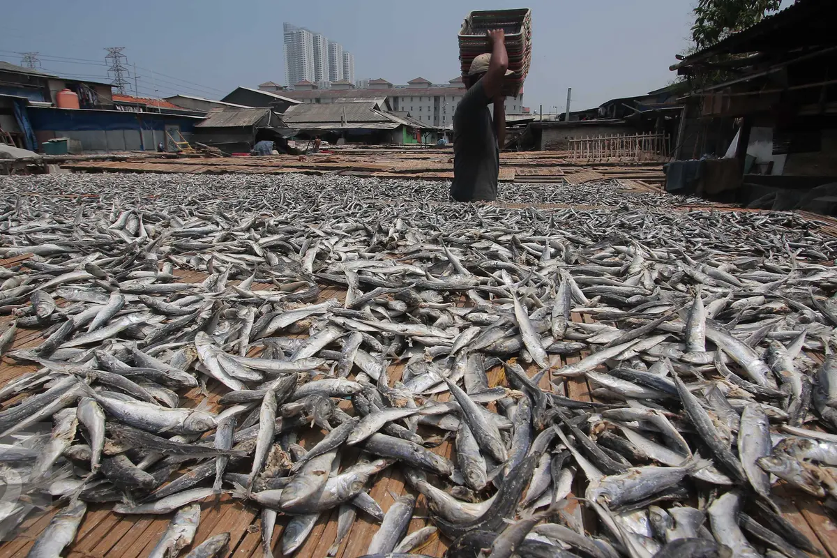20151204-Pasokan Menurun, Utilitas Industri Pengolahan Ikan Hanya Tersisa 40%