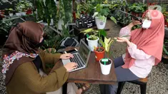 Karyawan mengupload foto tanaman hias untuk dipasarkan secara online di Titik Hijau, Bojongsari, Depok, Jawa Barat, Senin (26/10/2020). Pada masa pandemi COVID-19, penjualan tanaman hias secara online meningkat hingga 100 persen dibandingkan offline. (merdeka.com/Arie Basuki)