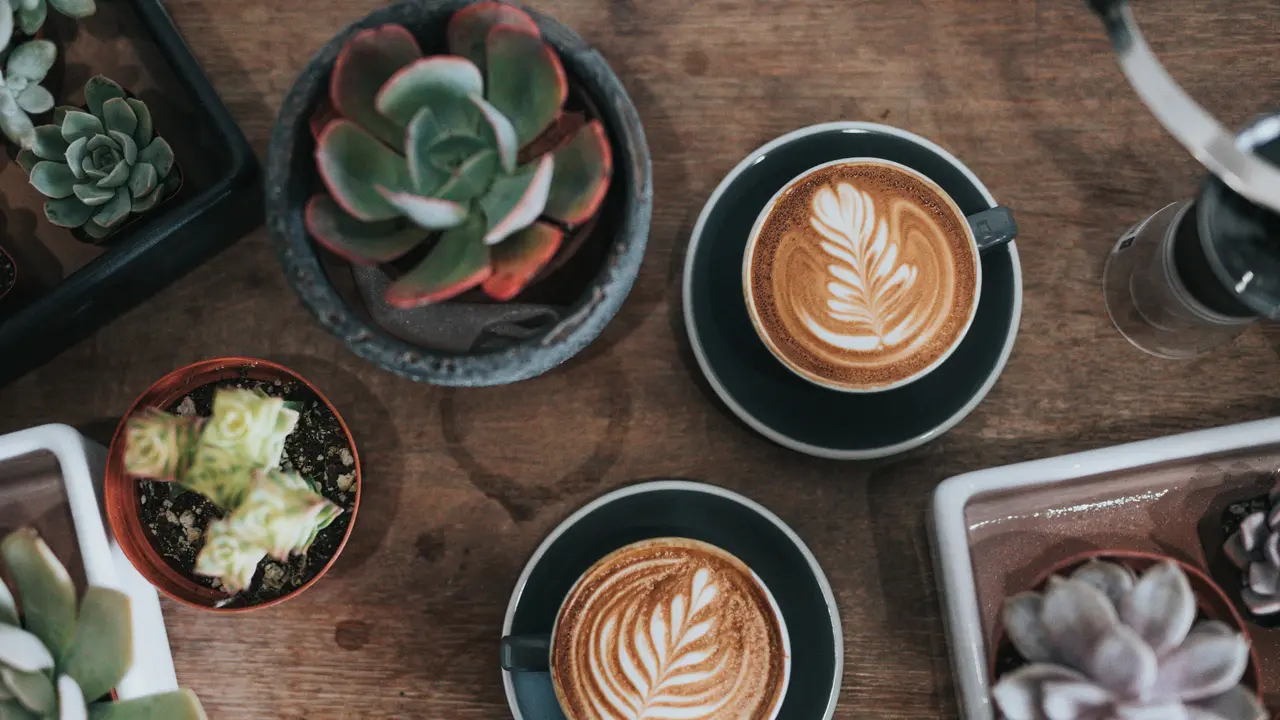 Dampak Positif Kopi Terhadap Kesehatan Tubuh