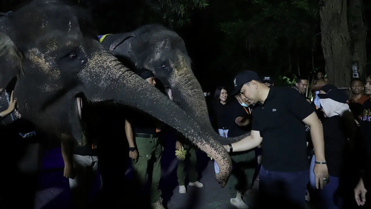 Eri Cahyadi saat menikmati ujicoba pembukaan  Surabaya Night Zoo. (Istimewa)