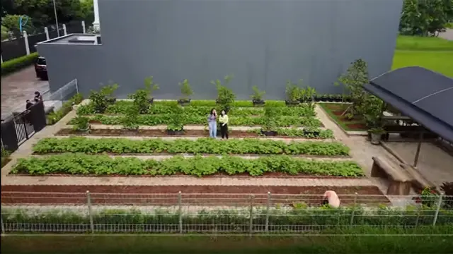 [Fimela] Prilly Latuconsina