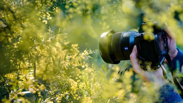 Ilustrasi fotografi, kamera