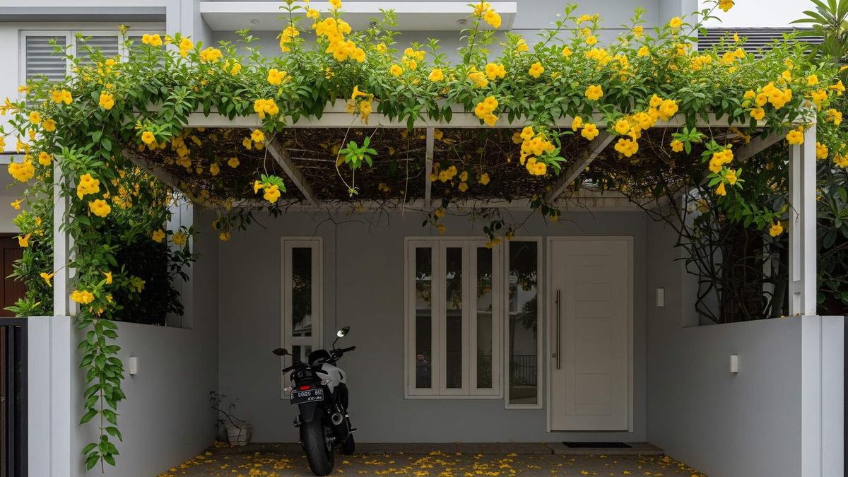 10 Tanaman Rambat yang Cocok Ditanam di Pot Gantung untuk Rumah Sempit, Bikin Asri dan Hemat Lahan