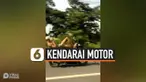 JADI PUSAT PERHATIAN, PRIA KENDARAI MOTOR PAKAI KAKI