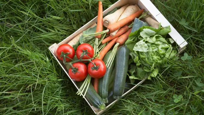 copyright by thinkstockphotos.com