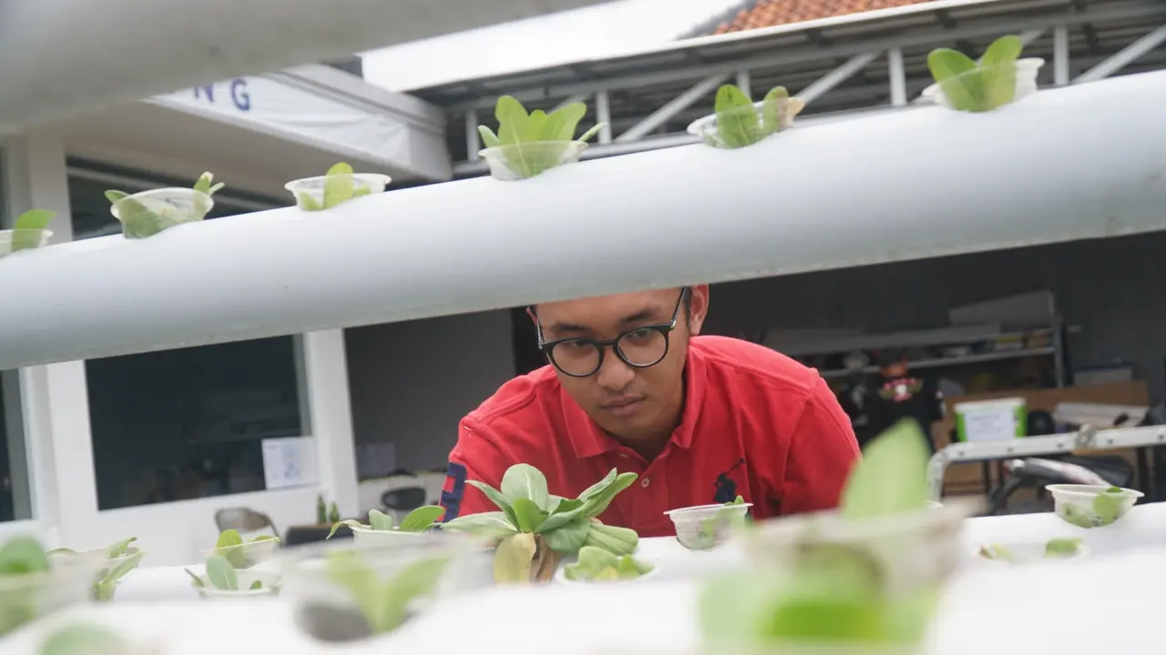 Berkebun hidrponik