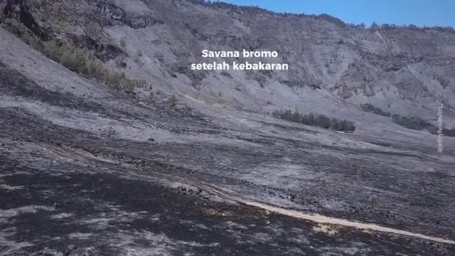6 Potret Savana Bromo Dilihat Dari Drone Setelah Kebakaran, Tampak Hangus