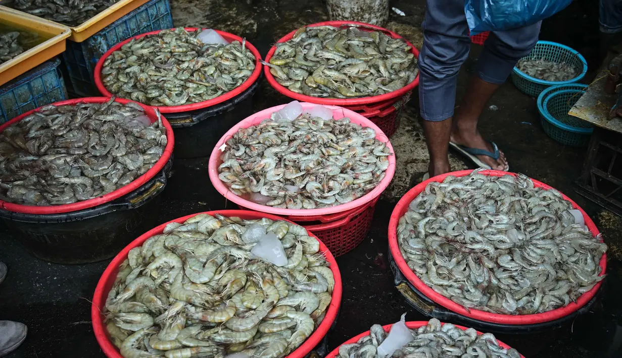 Pemerintah juga menegaskan langkah memperkuat sektor kelautan dan perikanan sudah berada di jalur tepat, mengingat protein ikan terbukti memberikan manfaat kesehatan lebih besar serta mendukung ketahanan pangan jangka panjang. (Juni Kriswanto/AFP)