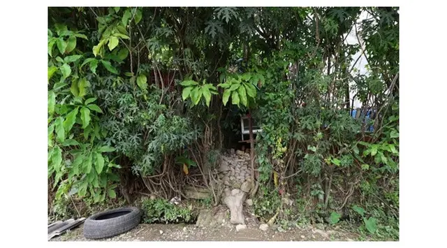 6 Potret rumah terduga pelaku penusukan Sandy Permana, terlihat kosong dan tak terawat