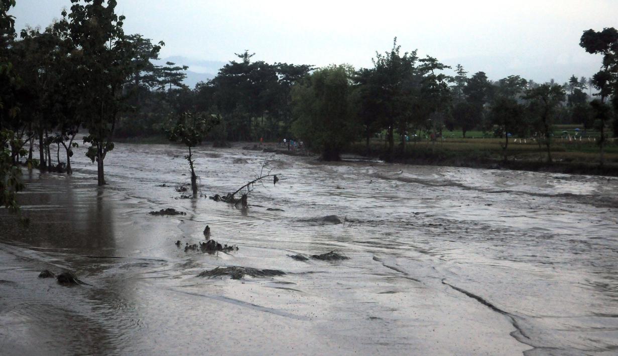 Hujan deras yang mengguyur Kediri dan sekitarnya  berimbas pada turunnya sisa material vulkano Gunung Kelud. Tampak beberapa pohon mengering terkena lahar dingin (Liputan6.com/Helmi Fithriansyah).