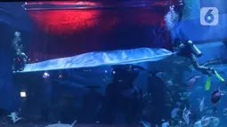 Penyelam melakukan prosesi pengibaran bendera merah putih raksasa di Jakarta Aquarium & Safari (JAQS), Jakarta, Selasa (17/8/2021).  JAQS juga menyelenggarakan atraksi bawah air, yang dilakukan para penyelam dengan mengenakan kostum pejuang. (Liputan6.com/Herman Zakharia)