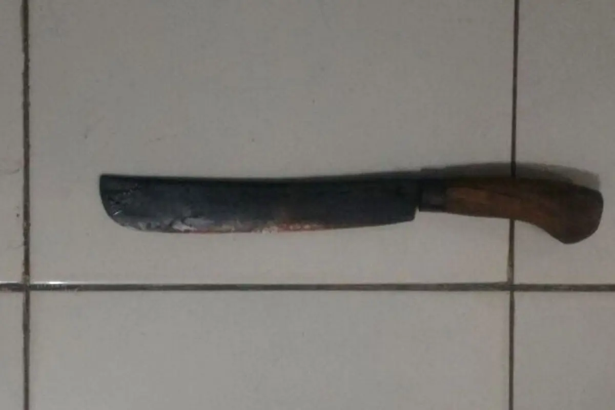 Ilustrasi - Golok