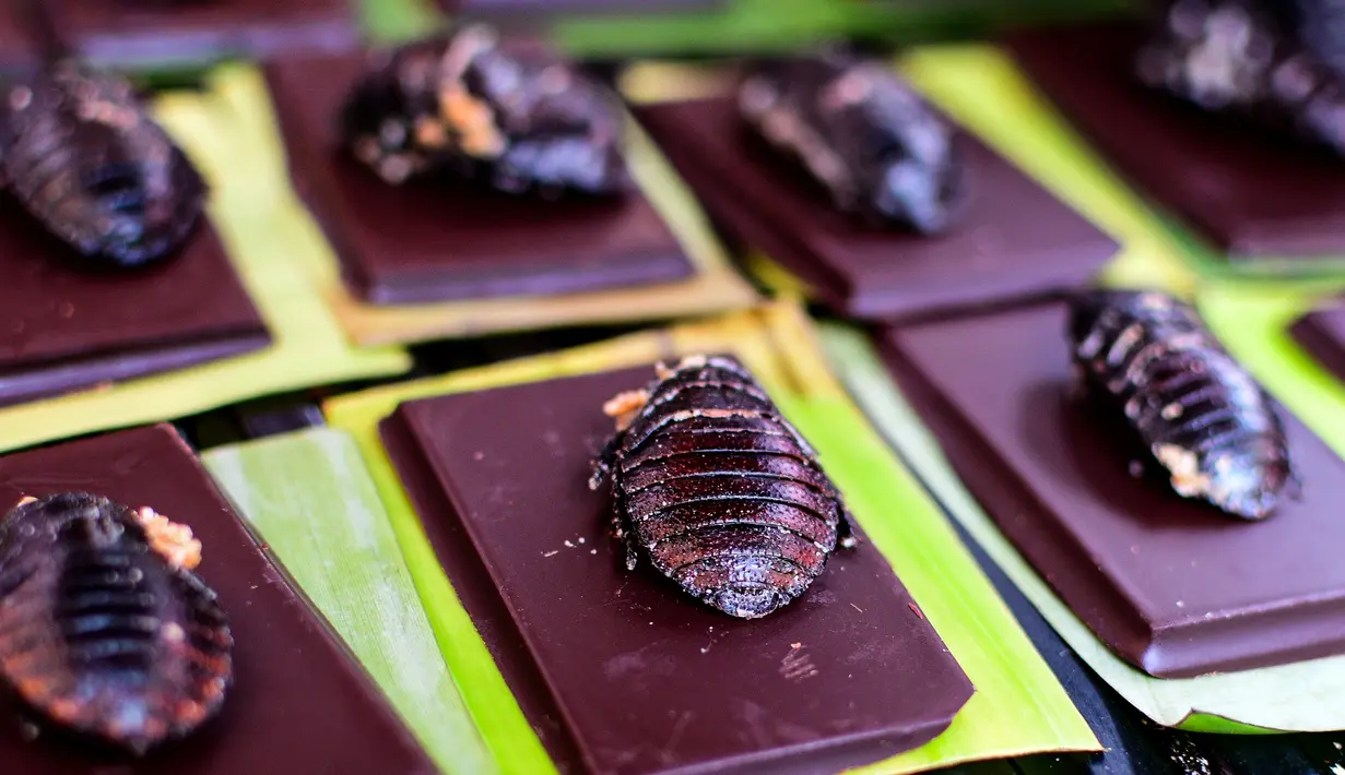 Cokelat bertabur kecoa Madagaskar ditawarkan di sebuah pasar di Mexico City, Meksiko, Minggu (10/6). Sejumlah restoran dan pasar di Mexico City menawarkan hidangan tak biasa seperti cacing, kecoa, serangga, dan telur semut. (Ronaldo SCHEMIDT/AFP)