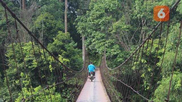 Jembatan Gantung Menuju Hutan Adat