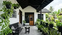 9 Inspirasi Teras Monokrom dengan Tanaman Sirih Gading dan Pot Hitam, Modern Estetik