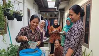 7 Ide Ternak Lele Sistem Ember untuk Ibu-ibu PKK yang Lahan Rumahnya Sempit
