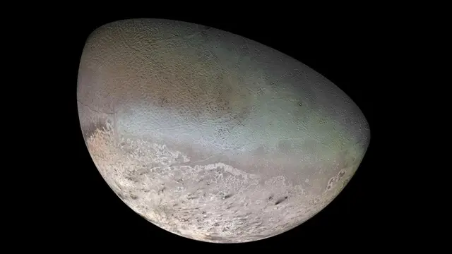 Proteus