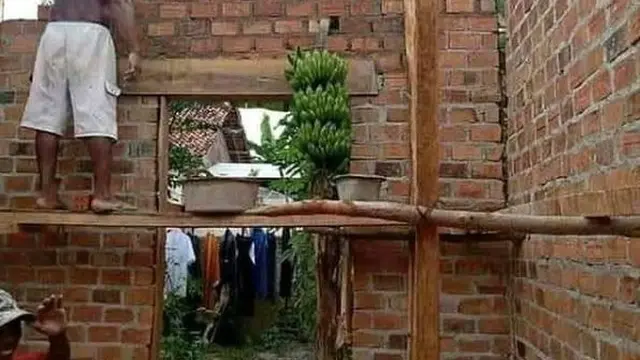 6 Momen Tak Terduga Ketiban Rezeki Buah Tetangga, Mujur Banget
