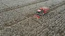 Foto dari udara yang diabadikan pada 27 Oktober 2020 ini menunjukkan mesin pemetik kapas beroperasi di sebuah ladang di Wangdaozhai, Kota Nangong, Provinsi Hebei, China utara. (Xinhua/Mu Yu)